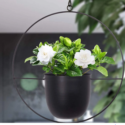 Matera colgante circular. Burdeos