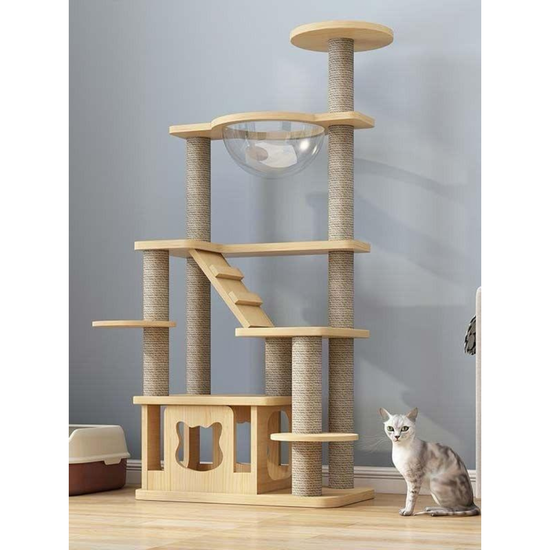 Gatos Casero Gimnasio Para Gatos Madera Material Reciclable