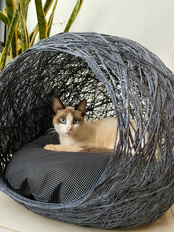 Cama para Gatos en fique