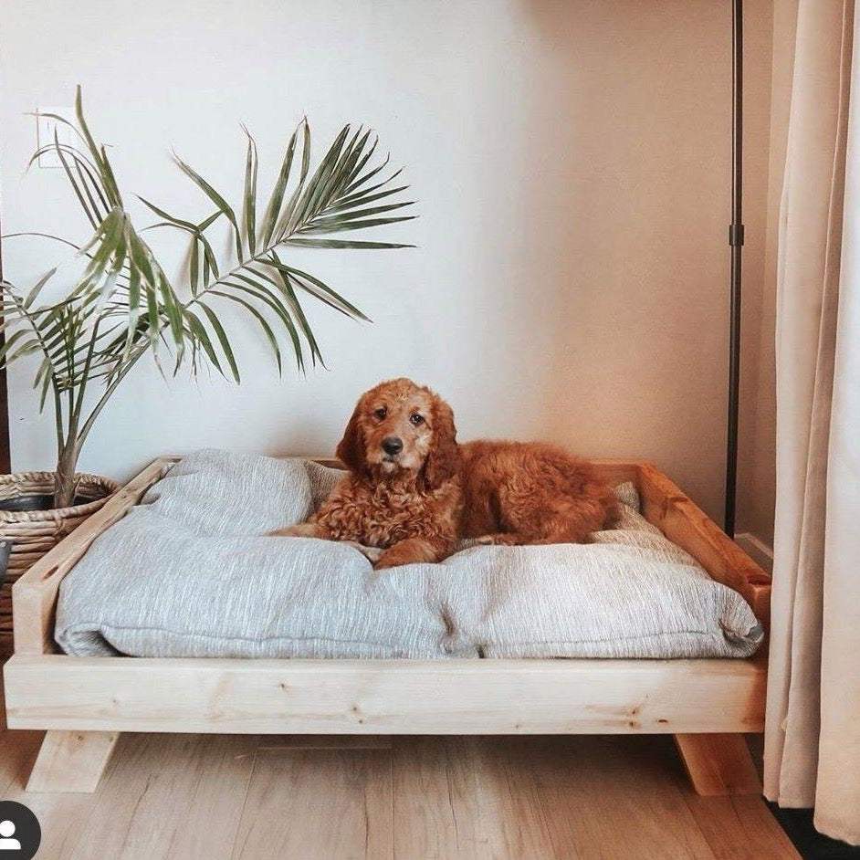 Cama para perros Balto
