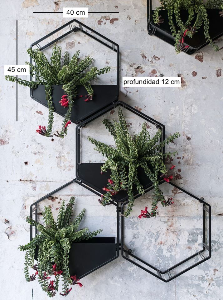 Matera decorativa de pared Hexa